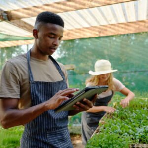 Créer et rentabiliser son potager bio en milieu urbain