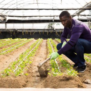 Devenir Agri-preneur : Lancer Votre Micro-Ferme Rentable