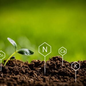 Maitriser le climat et les sols pour une meilleure production agricole