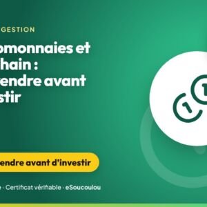 Formation Cryptomonnaies et blockchain : comprendre, évaluer les risques et éviter les arnaques — eSoucoulou