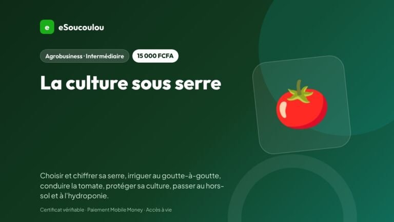 La culture sous serre : boostez vos rendements (tomate, poivron, hors-sol et hydroponie)