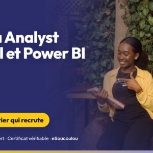 Data Analyst avec Excel et Power BI : des tableaux de bord pour décider