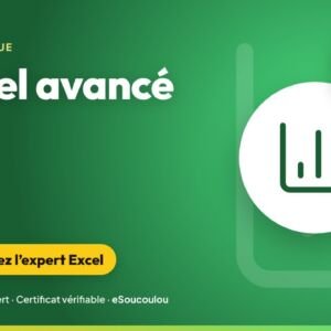 Excel avancé : RECHERCHEX, SOMME.SI.ENS, tableaux croisés dynamiques et tableaux de bord