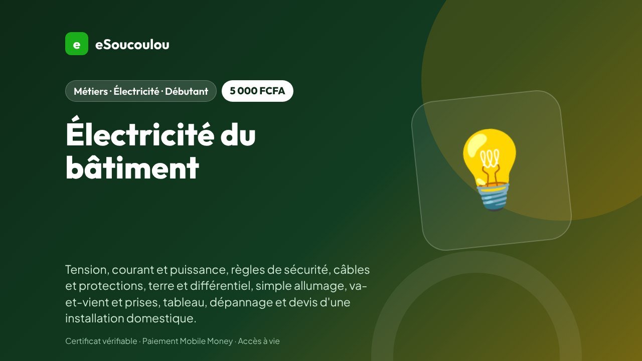 Électricité du bâtiment : notions de base, sécurité, schémas, tableau électrique, dépannage et devis