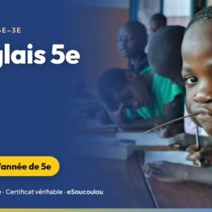 Révisions Anglais 5e : présent progressif, prétérit, futur, comparatifs, quantités et vocabulaire du quotidien