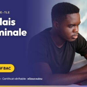 Formation Révisions Anglais Terminale (BAC, toutes séries) : grammaire avancée, vocabulaire thématique, compréhension, essay et lettre — eSoucoulou