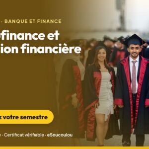 Microfinance et inclusion financière (L3 Banque-Finance) : SFD, méthodologies de crédit, gestion du portefeuille et réglementation UMOA