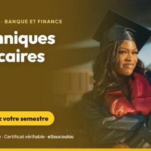 Techniques bancaires (L2-L3 Banque-Finance) : comptes, moyens de paiement, crédits, garanties, risques et réglementation UMOA