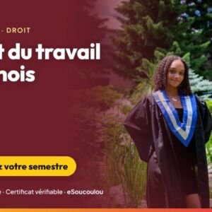 Droit du travail béninois (L3 Droit) : contrat de travail, conditions de travail, rupture, relations collectives