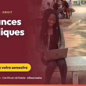 Finances publiques (L2 Droit et Économie) : loi de finances, budget-programme, exécution et contrôle au Bénin